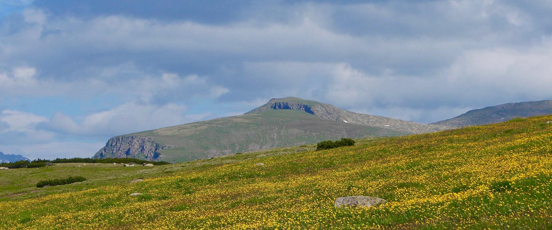 Sommerglück in Südtirol